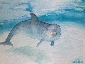 Neugieriger Delfin